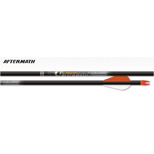 Easton Carbon Aftermath Arrow